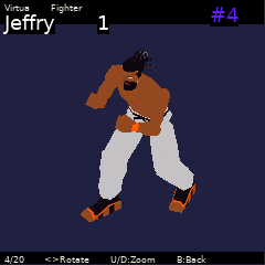 Shenmue Companion capsule viewer